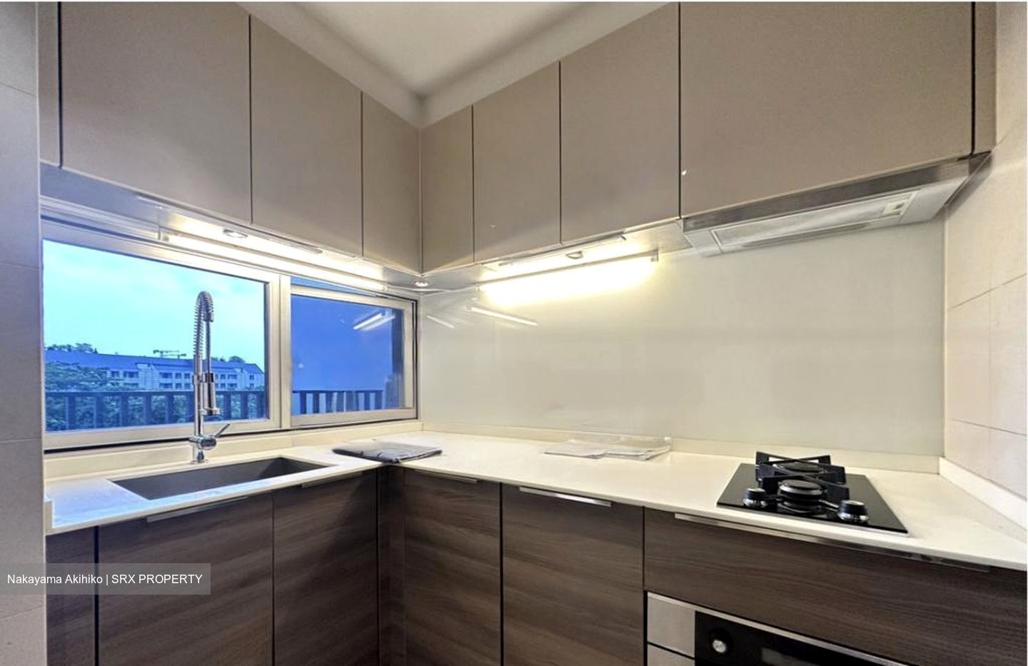 The Meyerise (D15), Condominium #475405481